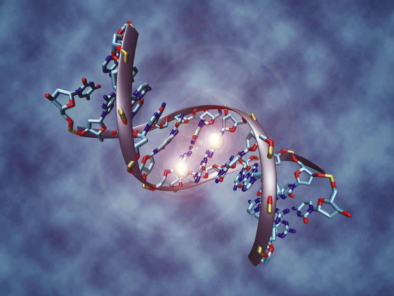 神經(jīng)外科學 - 第78期:生物信息學與計算機輔助癌癥診斷